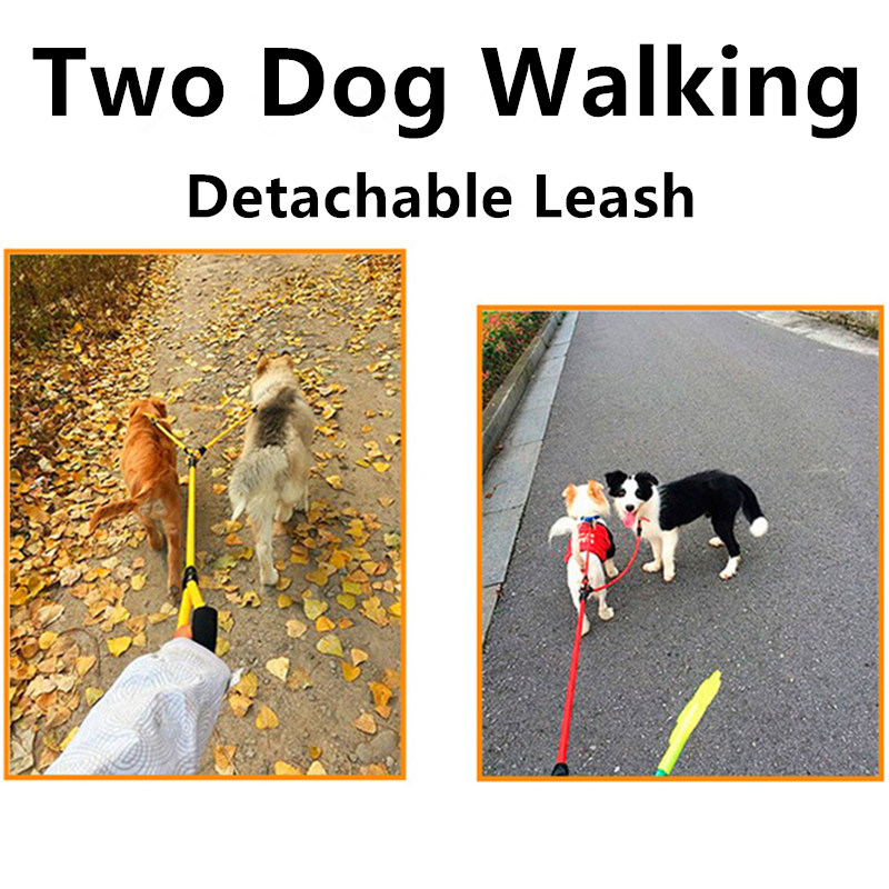 Dog Leash Double Leashes for D - Leather Strap Quick Release 리뷰 및 가격