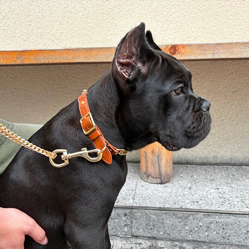Loudik Wholesale Pet Collar Le - Leather Strap Quick Release 리뷰 및 가격