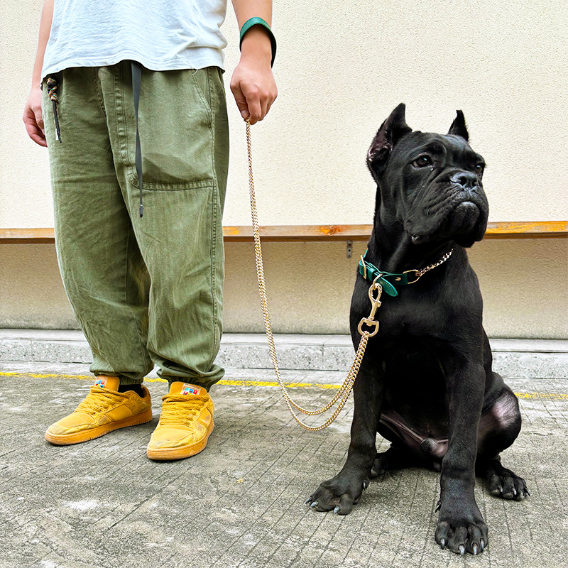 Loudik Wholesale Pet Collar Le - Leather Strap Quick Release 리뷰 및 가격
